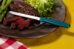 Alfi Cutodynamic High Performance All-purpose Made In USA Knives (Set Of 12 Rounded Tip) -Chef Knife Shop ABHR 12 RLX 10