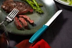 Alfi Cutodynamic High Performance All-purpose Made In USA Knives (Set Of 12 Rounded Tip) -Chef Knife Shop ABHR 12 RLX 11