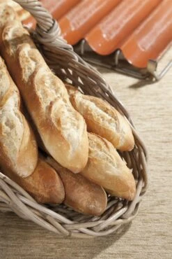 ALFI BreadScorer 12 Pack Buy 6 Dozen Get 1 Free -Chef Knife Shop ABSN 0112 6 1