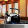 Cuisinart® PerfecTemp® Teakettle